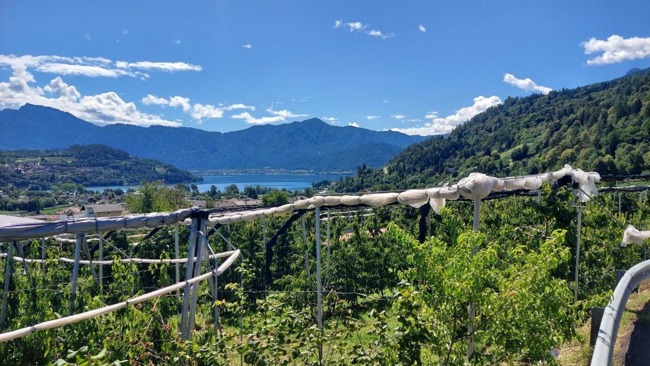 La Coccinella Di Susa Pergine Valsugana Kültér fotó