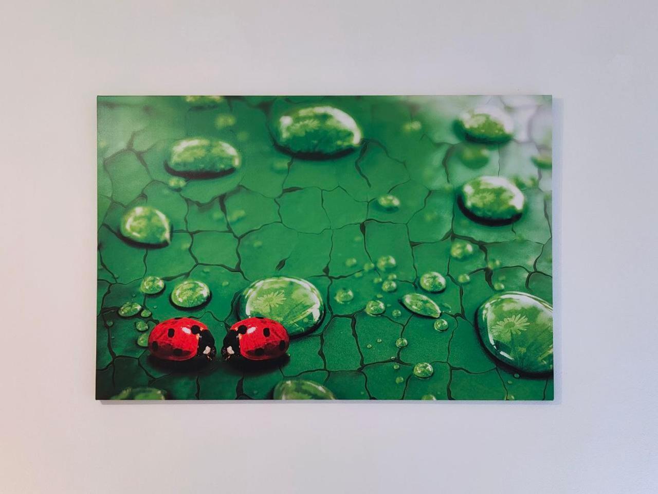 La Coccinella Di Susa Pergine Valsugana Kültér fotó